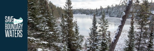 trees with logo winter