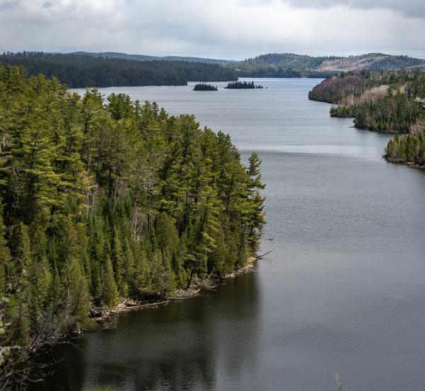 Overlooking a lake