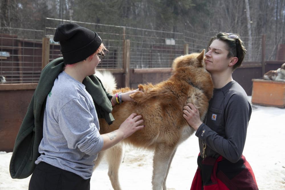 Two people pet a dog.