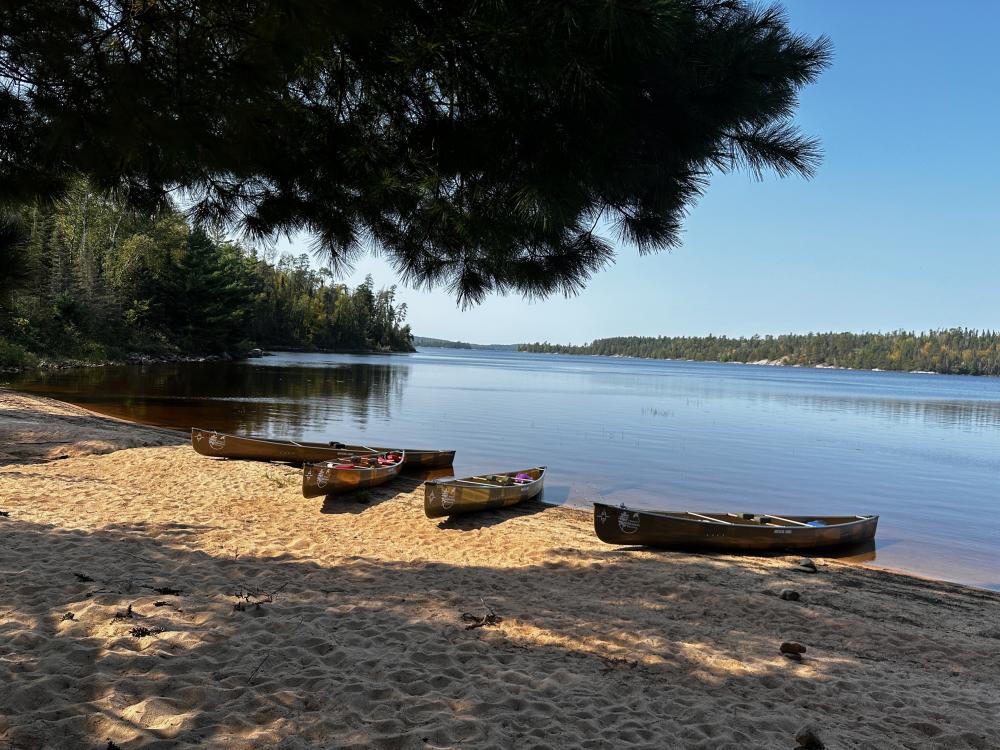 canoes on sandy shore