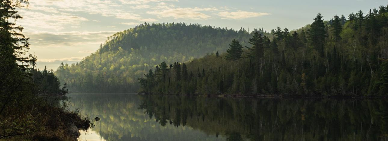 Portrait photo of the Boundary Waters