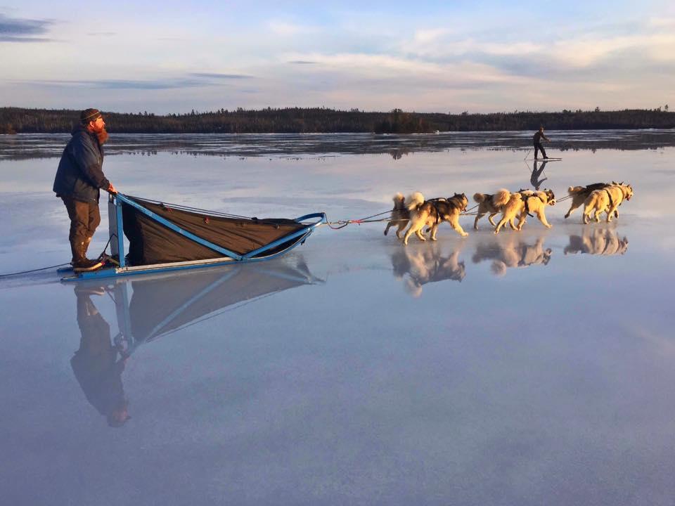 Saving The BWCA Is Key To Solving The Climate And Extinction Crisis ...